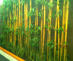 Tanaman Bambu Kuning Untuk Pagar Multicon Jaya Beton